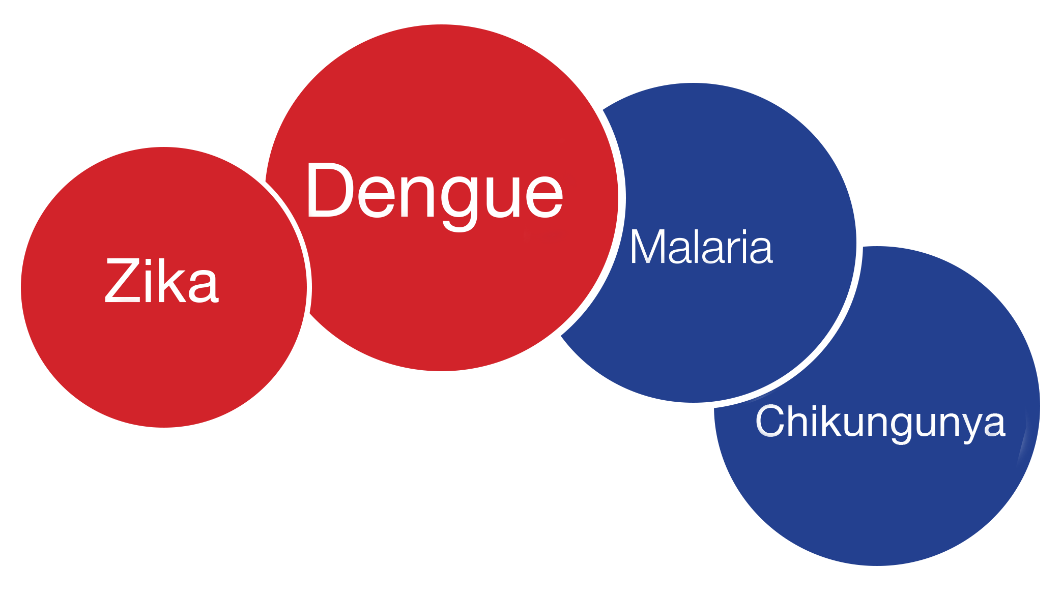 Zika, Dengue, Malaria, Chikungunya